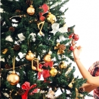 nuts, Christmas tree, mistletoe, hanukkah, winter solstice,