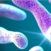 Oczyszczanie organizmu z pasożytów – podstawą prawidłowa dieta