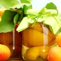 Morela ZALESZCZYCKA obficie owocuje, mrozoodporna. Prunus Armeniaca L.