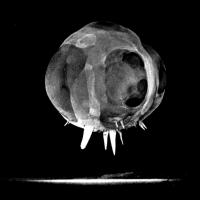 1952. natychmiastowa próba nuklearna uchwycona przez aparat Rapatronic.