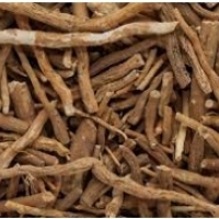 Ashwagandha. Działanie, skład, stosowanie i skutki uboczne. Witania ospała (Withania somnifera (L.) Dunal)