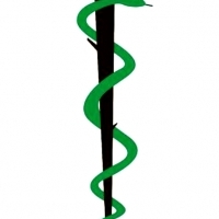 Symbol węży na lasce lub tyczce jest motywem rozpowszechnionym zarówno na starożytnym Bliskim Wschodzie, jak i w basenie Morza Śródziemnego.