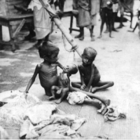 Millions of tonnes of wheat were exported to Britain while famine raged in India.