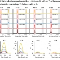 2,6-diaminopurine promotes repair of DNA lesions under prebiotic conditions