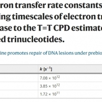 2,6-diaminopurine promotes repair of DNA lesions under prebiotic conditions