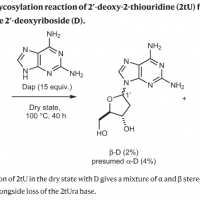 2,6-diaminopurine promotes repair of DNA lesions under prebiotic conditions