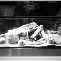 Górnicy odkryli niezwykle dobrze zachowaną mumię z rudymi włosami, przygotowaną i zabalsamowaną w podobny sposób jak starożytni Egipcjanie.