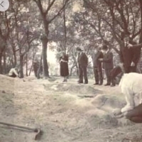 A group of archaeologists headed by Amedeo Mayuri, during excavations at the Kuman Acropolis, huge bone fragments found !!