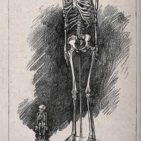 2: The Establishment Has Already Acknowledged a Lost Race of Giants.
