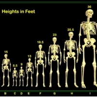 Giant skeletons documented by historians.