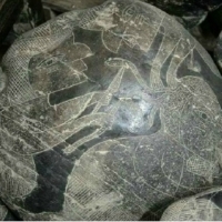 Look closely at this carved drawing on the Ica stone