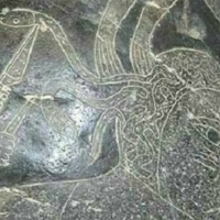 Look closely at this carved drawing on the Ica stone