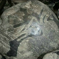 Look closely at this carved drawing on the Ica stone