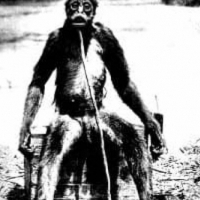 Małpa de Loysa to duża człekokształtna małpa podobna do pitekantropa, rzekomo odkryta przez François de Loysa w Wenezueli w 1920 roku.