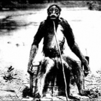 Małpa de Loysa to duża człekokształtna małpa podobna do pitekantropa, rzekomo odkryta przez François de Loysa w Wenezueli w 1920 roku.