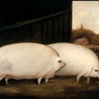 W XIX-wiecznej Anglii zamożni rolnicy zamawiali obrazy swoich krów, świń i owiec jako sposób na podkreślenie swojego bogactwa i statusu. ⁣