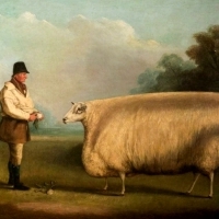 W XIX-wiecznej Anglii zamożni rolnicy zamawiali obrazy swoich krów, świń i owiec jako sposób na podkreślenie swojego bogactwa i statusu. ⁣