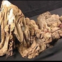 Cenne starożytne relikty są ukryte głęboko pod „Morzem Śmierci” lub pustynią Taklamakan. Chiny.