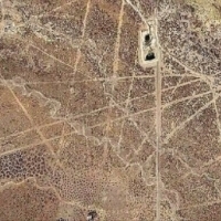 Linie Sajama w zachodniej Boliwii to sieć dziesiątek tysięcy idealnie prostych torów narysowanych na ziemi ciągłymi liniami.