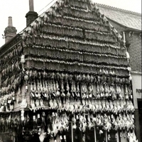 Wiszący drób: sklep mięsny, High Wycombe, Buckinghamshire, Anglia, 1938