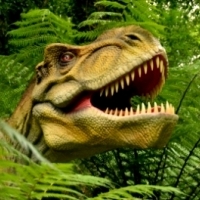 Szkielet w żołądku tyranozaura.