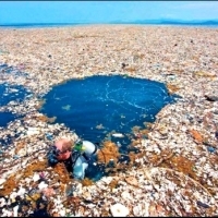 Na oceanie znajduje się plastikowa wyspa większa niż USA i tak duża jak cała Europa.