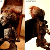 W piwnicy starego domu w Londynie znaleziono ciała dziwnych stworzeń: