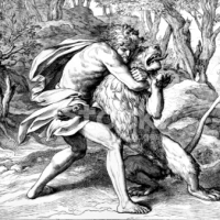 Podobieństwa między Samsonem a Heraklesem są liczne.