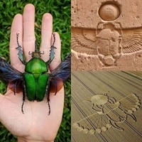 Być może owady są przewodnikiem po naszym kosmicznym wszechświecie.