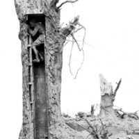 Drzewo obserwacyjne używane podczas I wojny światowej.