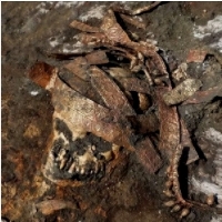 Archeolodzy odkryli niedawno kości, broń i nakrycia głowy czterech prawdziwych wojowniczek Amazonek