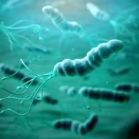 Helicobacter Pylori – naturalne sposoby na zwalczenie tej bakterii.