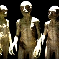 Dinozauroidy – a może Reptilianie?