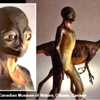 Dinozauroidy – a może Reptilianie?