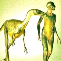 REPTILIANIE.