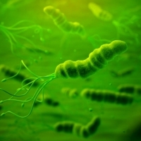 Dieta przy HELICOBACTER PYLORI: produkty wskazane i zakazane.