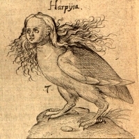 Harpia. (1610).