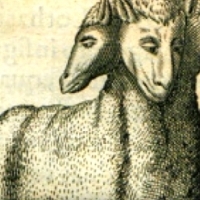 Monstra Licetiego. (1665).