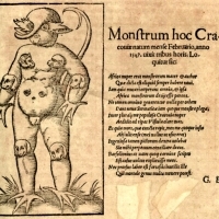 Animalne dziecię z Krakowa. (1552).