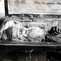 Zmumifikowane ciało znalezione w szwedzkim domu z 1866 roku.