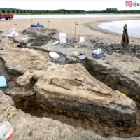 Gigantyczna skamielina prehistorycznego smoka morskiego odkryta w zbiorniku w Wielkiej Brytanii.