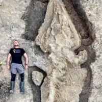 Gigantyczna skamielina prehistorycznego smoka morskiego odkryta w zbiorniku w Wielkiej Brytanii.