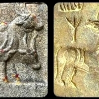 Oba zdjęcia przedstawiają zwierzę, byka po lewej, które ma to samo ciało, ale różne głowy...