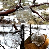 I nie, nie możesz ich zjeść, bo inaczej możesz się zamrozić.