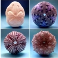 sea ​​urchins