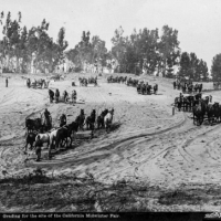 Latem 1894 roku armia koni zaczęła pracować w parku Golden Gate w ramach przygotowań do targów Midwinters Fair w San Francisco w 1894 roku.