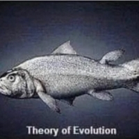 Ewolucja. Ewolucja to największe kłamstwo, jakie kiedykolwiek opowiedziała nauka.