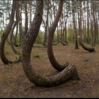 Las Gryfiński, uważany jest za miejsce tajemnicze i wyjątkowe.