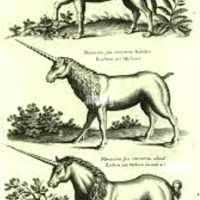 John Johnston, 1603-1675, w swojej książce Natural History z 1655, publikuje istnienie różnych gatunków jednorożców.