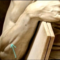Szczegóły posągu Mojżesza, Michała Anioła.